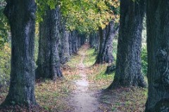 DSCF5845